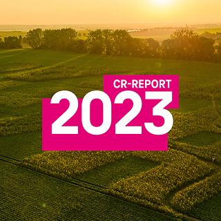 CR Report 2023