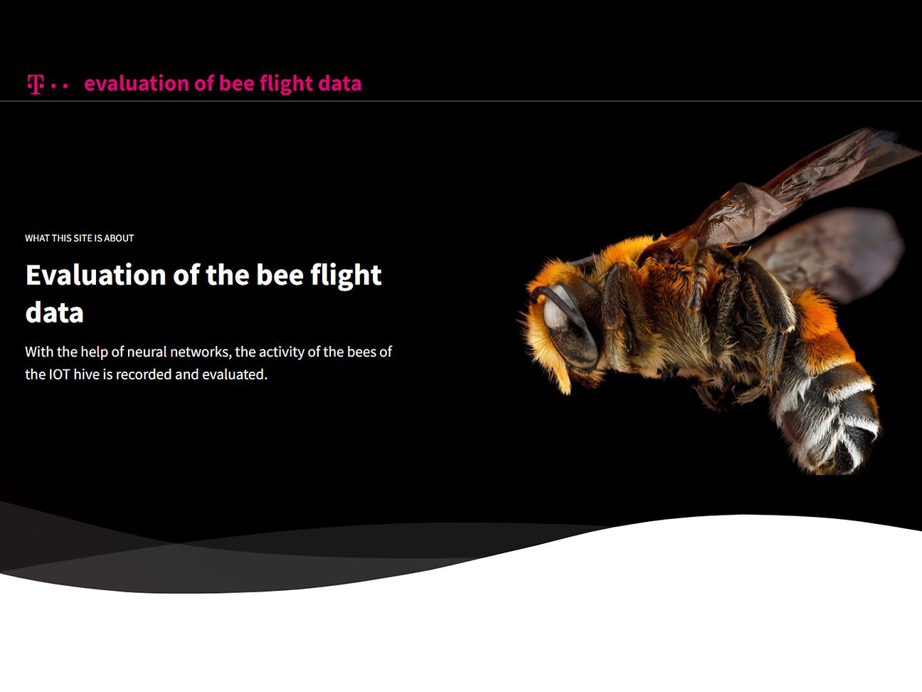 Screenshot der Website des Bienenstock auf dem Innovation Center in München.