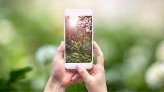 Two hands holding a smartphone displaying a green forest on its screen