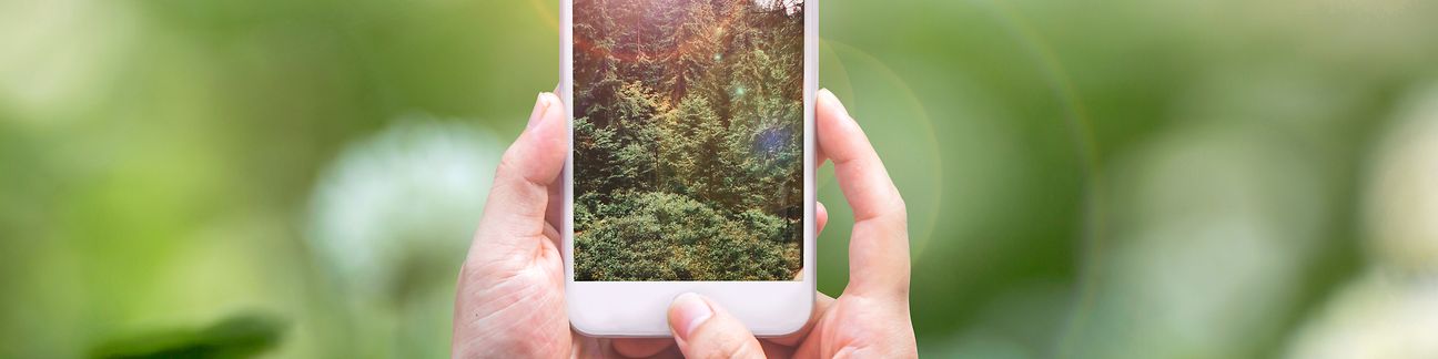Two hands holding a smartphone displaying a green forest on its screen