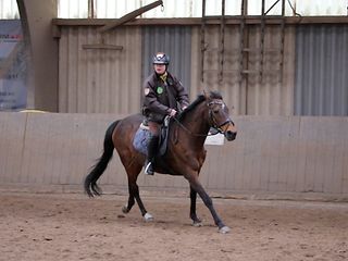 Reiter Amadeus Colsman steht im Stall vor seinem Pferd „Träumerei“.
