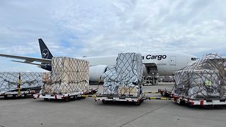 Loaded air freight pallet in the freight hall. A digital display documents the checking of the pallet dimensions.