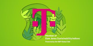 10 Years of Top Ratings for Sustainability