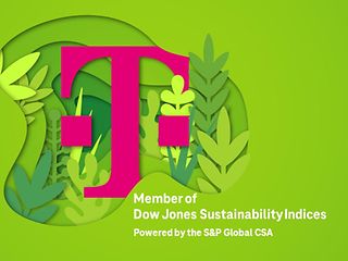 10 Years of Top Ratings for Sustainability