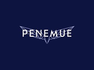 Logo: Penemue