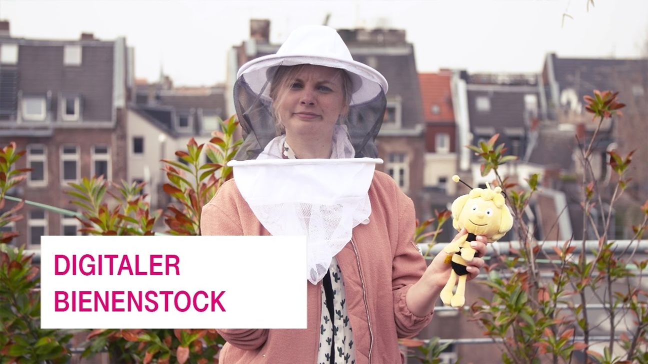 Bee-netzgeschichten