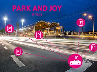 Park and Joy