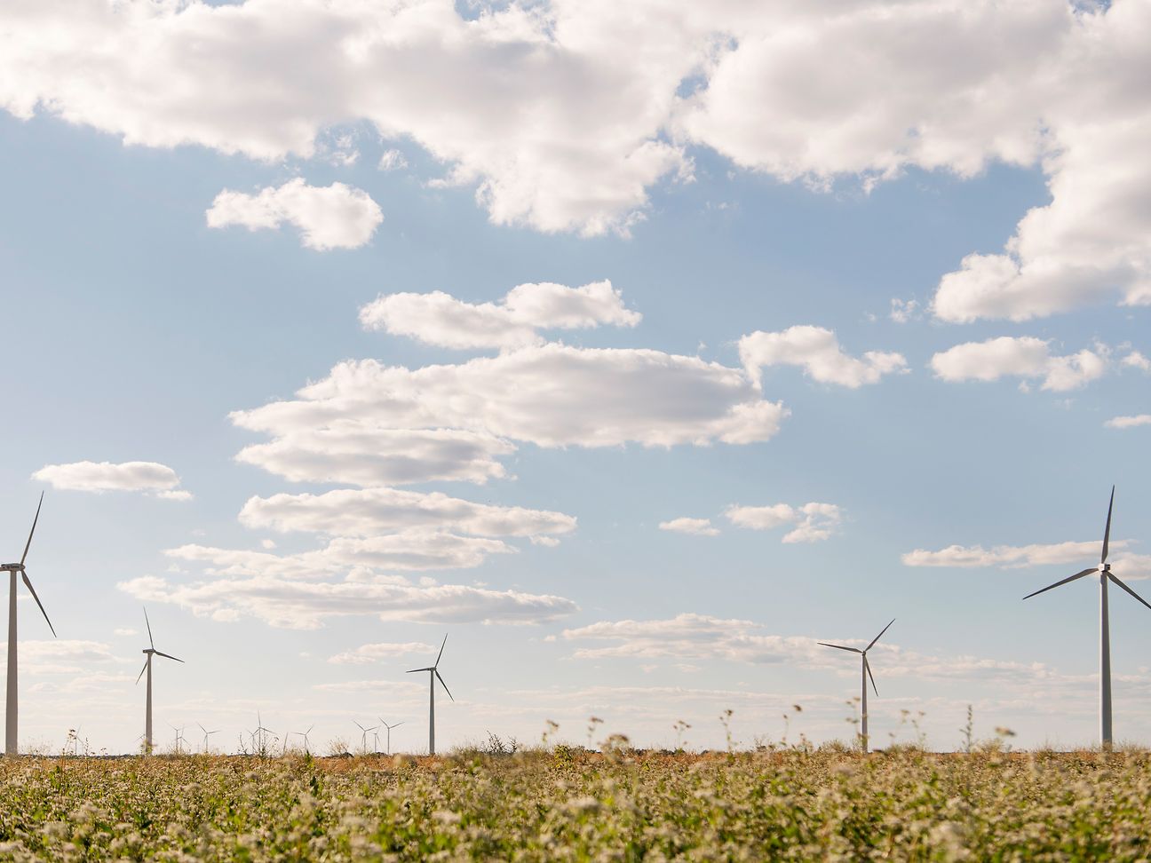 Windräder