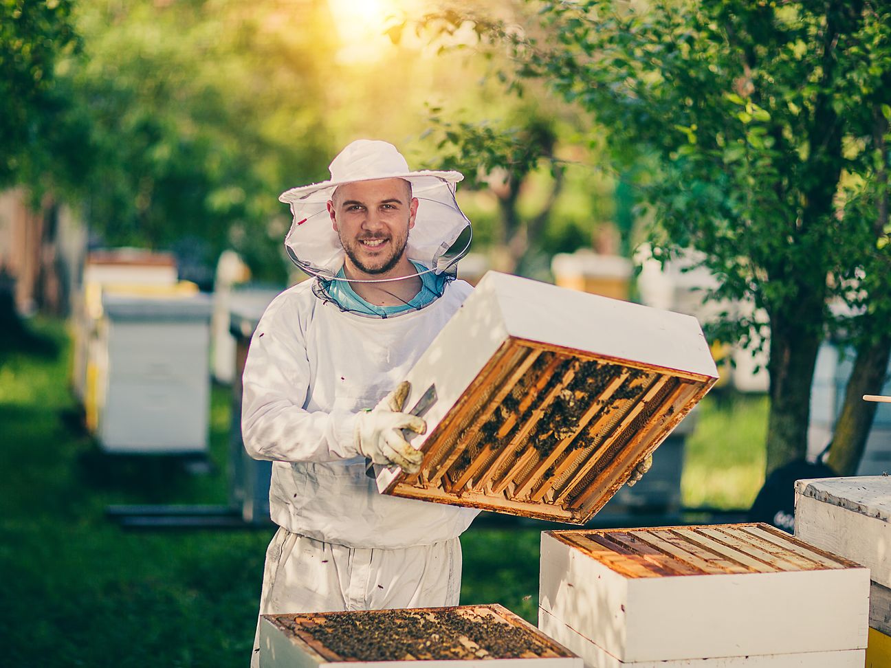 The smart beehive is providing a new solution to this problem.