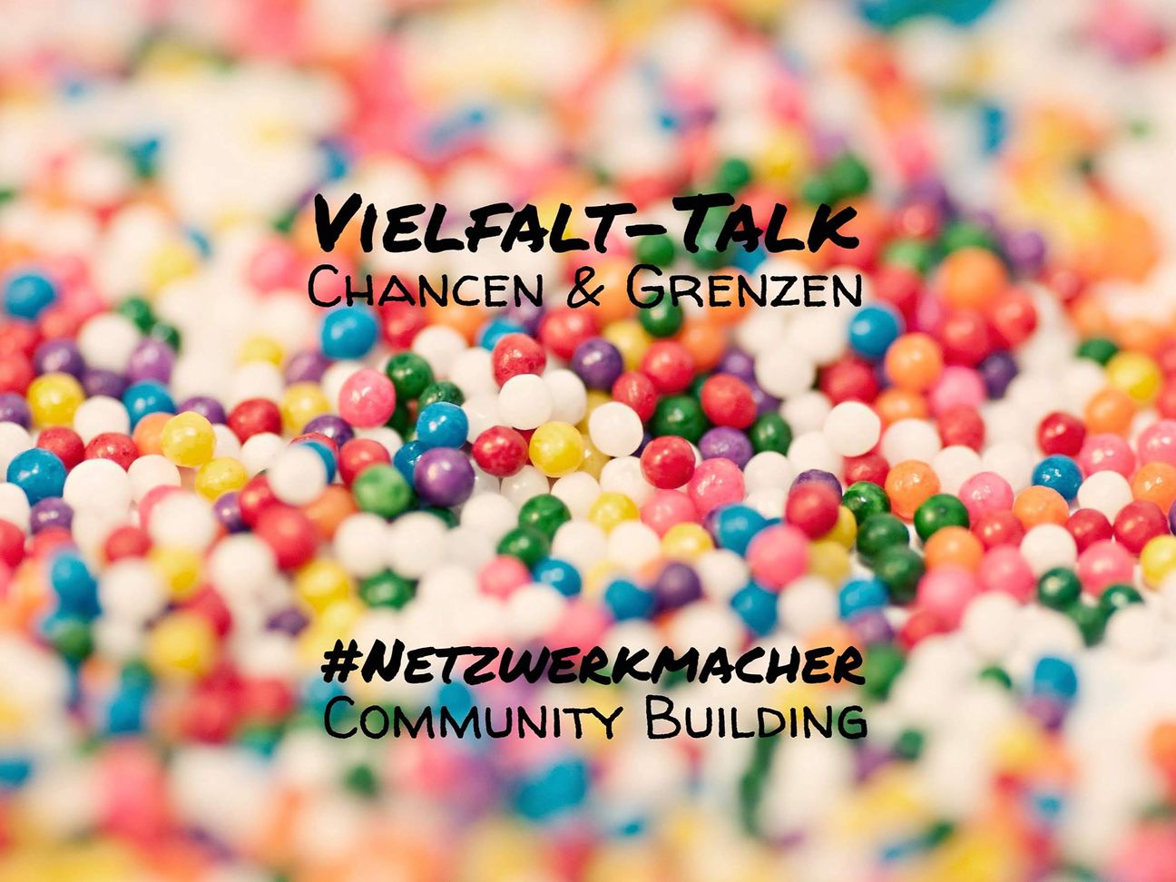 Die viELfalT-Talk-Serie der Netzwerkmacher.