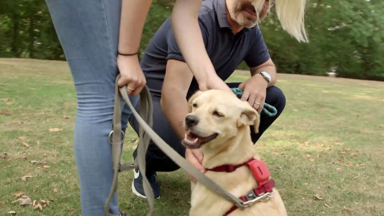 Hundetracker