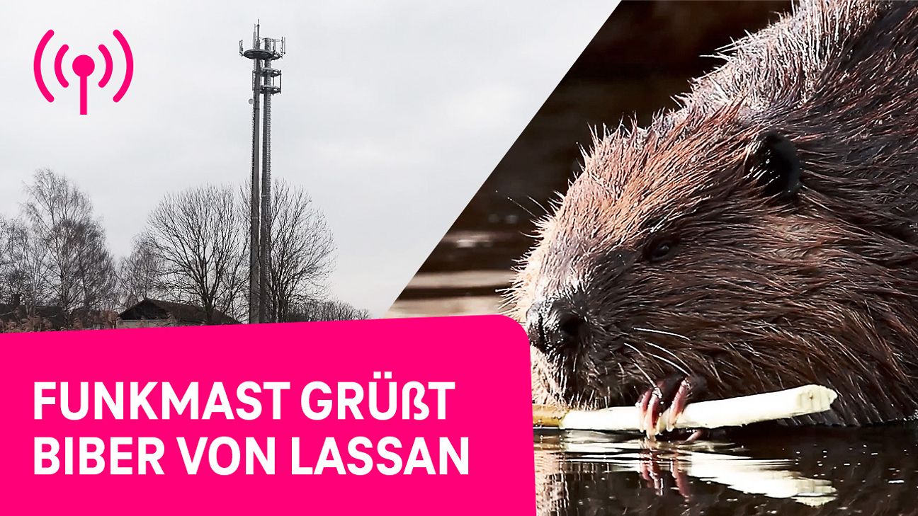 20210316_Biber-in-Lassan_thumb