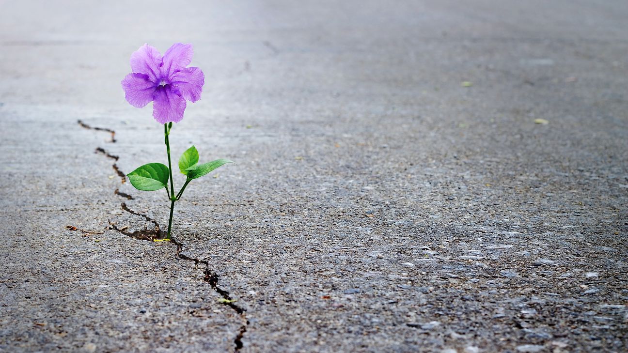 Resilience