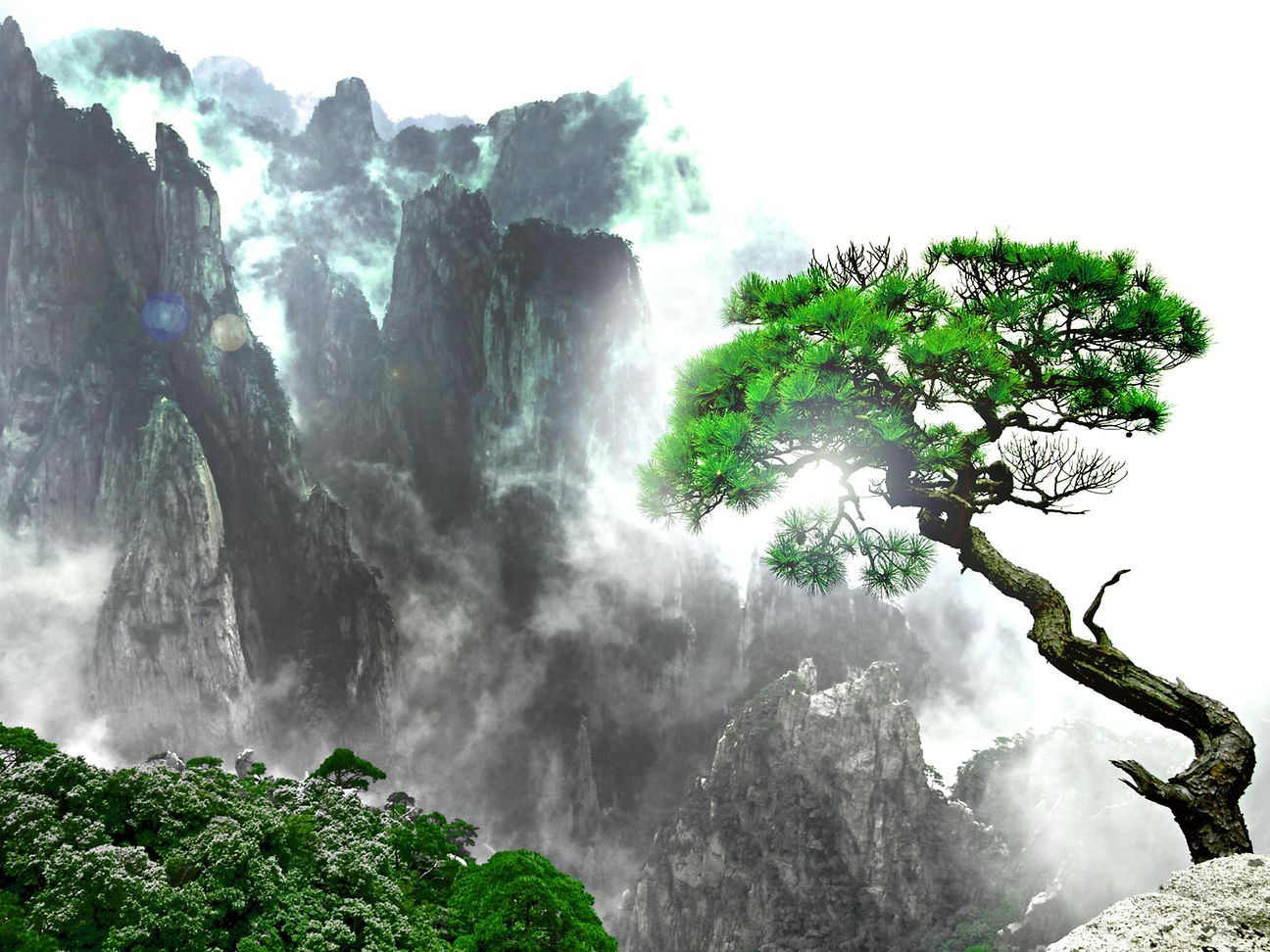 Ein Baum trotzt den Unbilden der Natur.