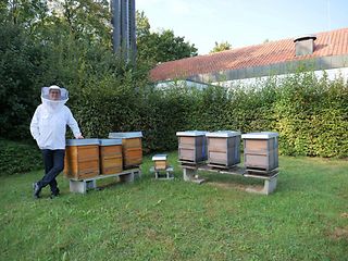 Beehives Patrick Köhler