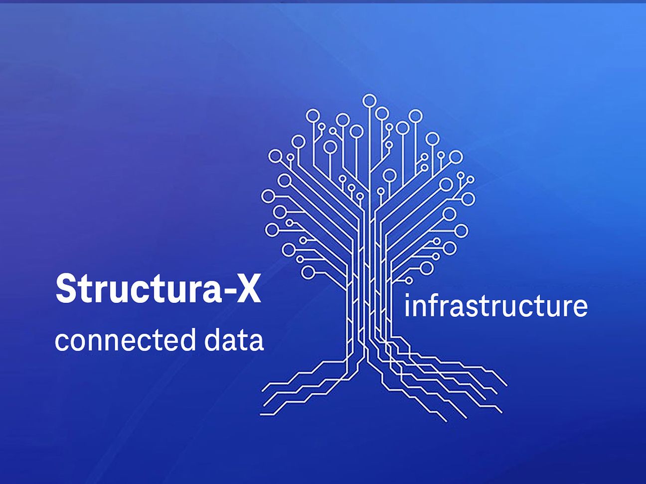 Infrastructure for Gaia-X: Structura-X